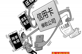 宁晋企业清欠服务